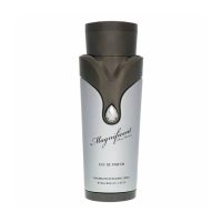 Armaf Magnificent For Men Eau De Perfum 100ml